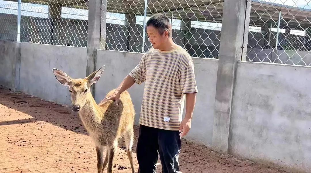 金沙大转盘